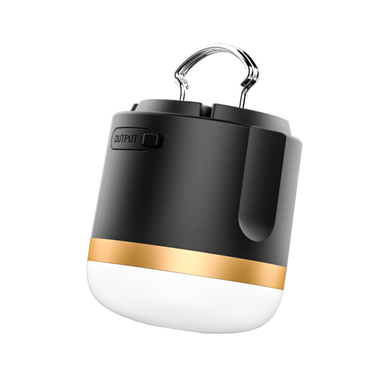 EcoFlow Camping Light